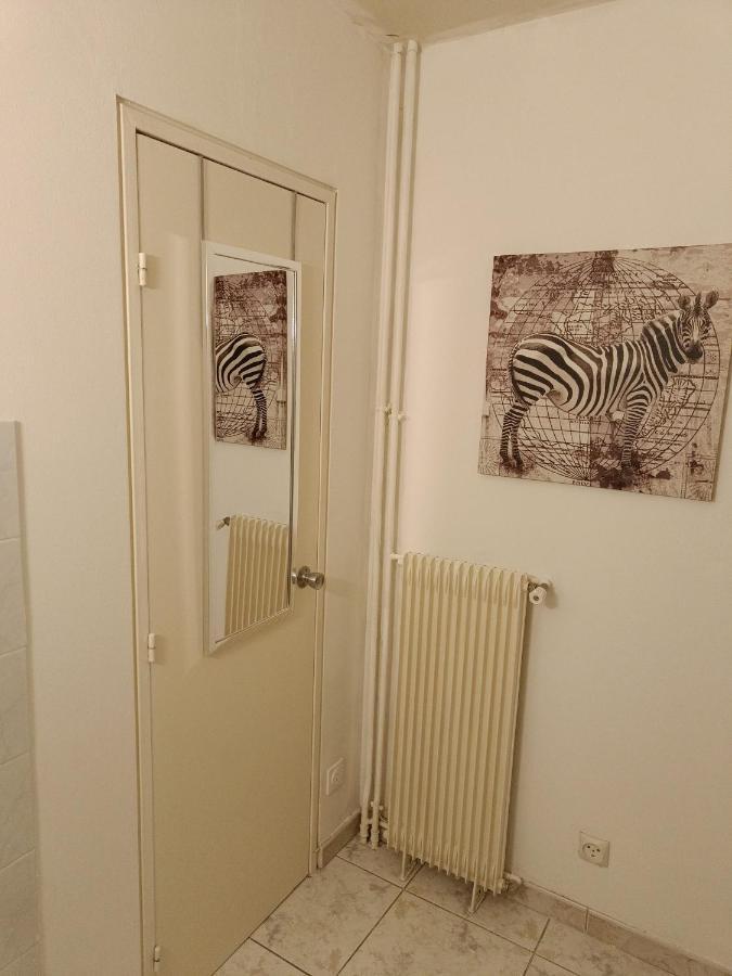 Couturier Lovely Proche Centre Apartment